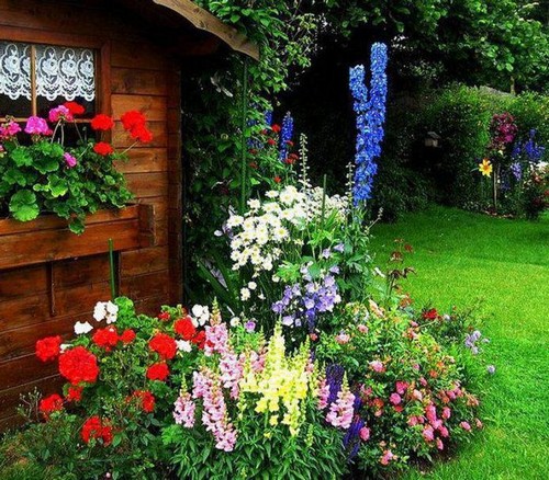 花壇用の多年生の花とは何ですか 夏の花壇に植えるのに最適な花や植物